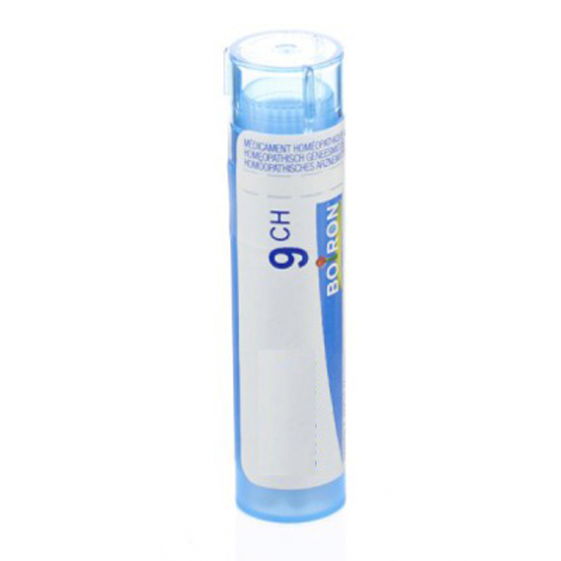 Hypericum Perfora Granulo 9ch Boiron