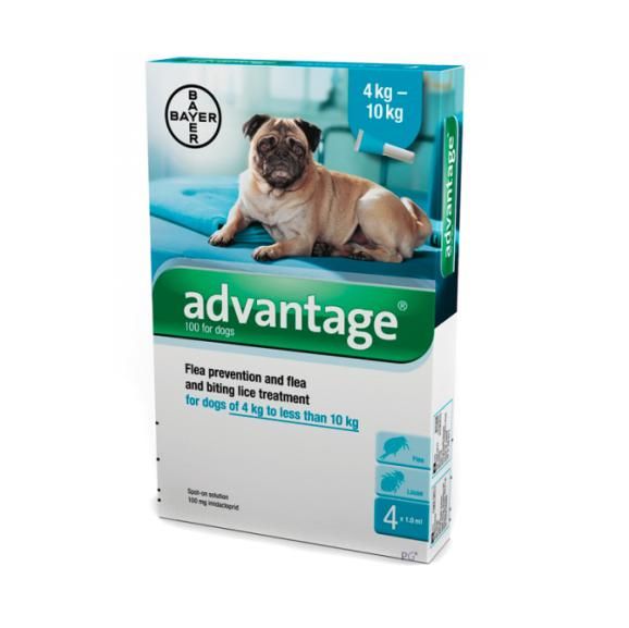 Advantage Cão Solução Unção - 1ml (x4 unidades)_ 4-10kg