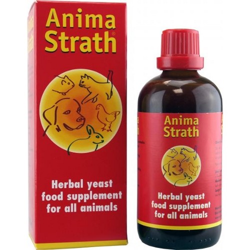 Anima Strath Elixir - 250ml