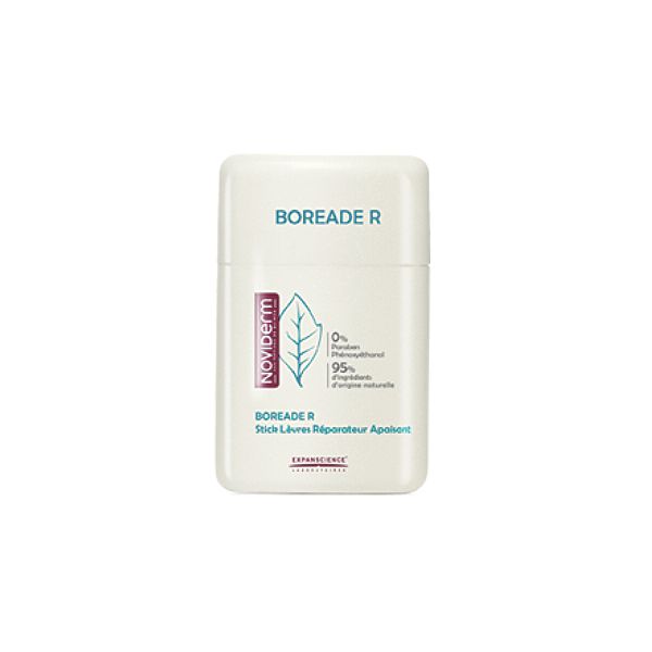Noviderm Boreade Stick Reparador - 11ml