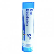 Rhus Toxicodendro Grânulo 9CH Boiron