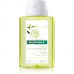 Klorane Capilar Champô Polpa Cidra - 100ml