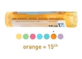 Sepia Officinalis Grânulo 15CH Boiron